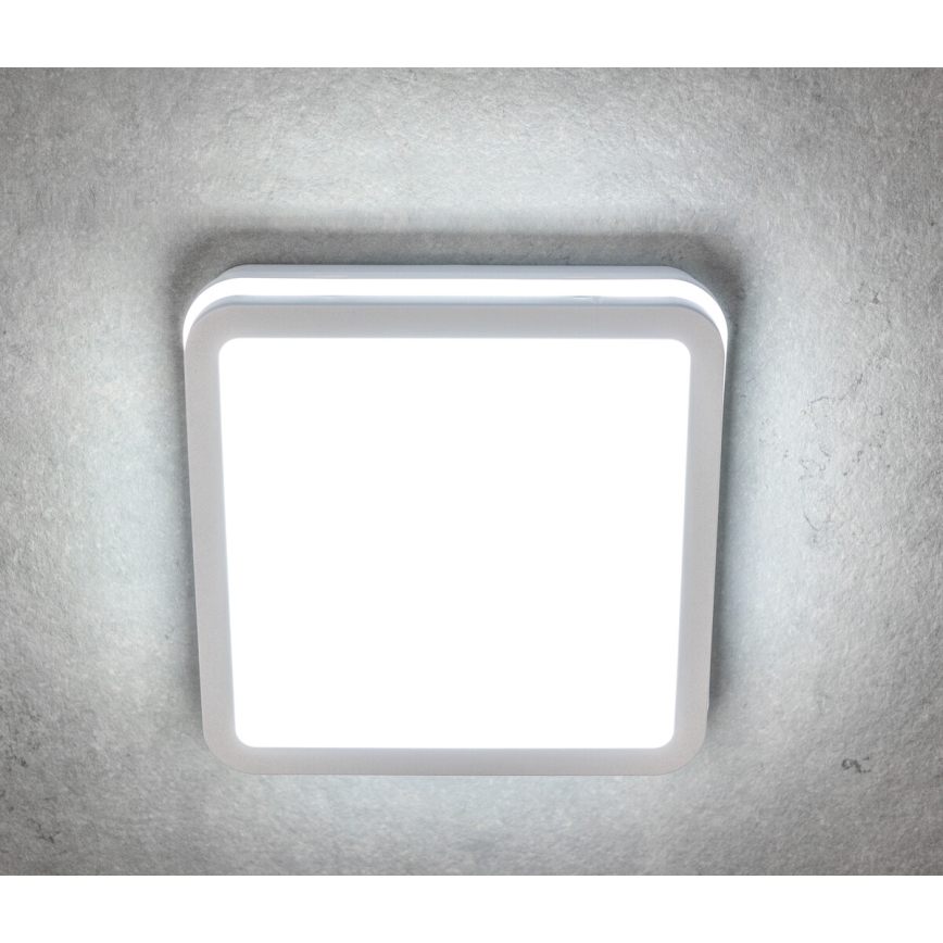 LED Екстериорна лампа BENO LED/18W/230V IP54 4000K бяла IP54