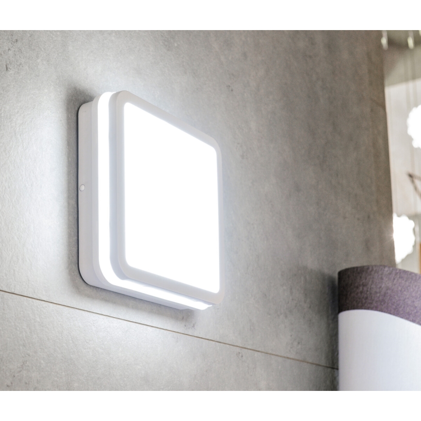 LED Екстериорна лампа BENO LED/18W/230V IP54 4000K бяла IP54