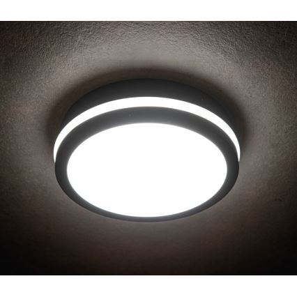 LED Екстериорна лампа BENO LED/24W/230V 4000K антрацит IP54
