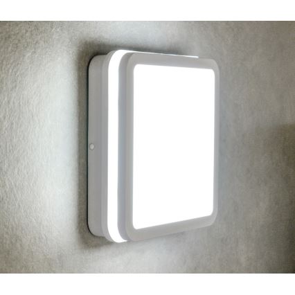 LED Екстериорна лампа BENO LED/24W/230V 4000K бяла IP54