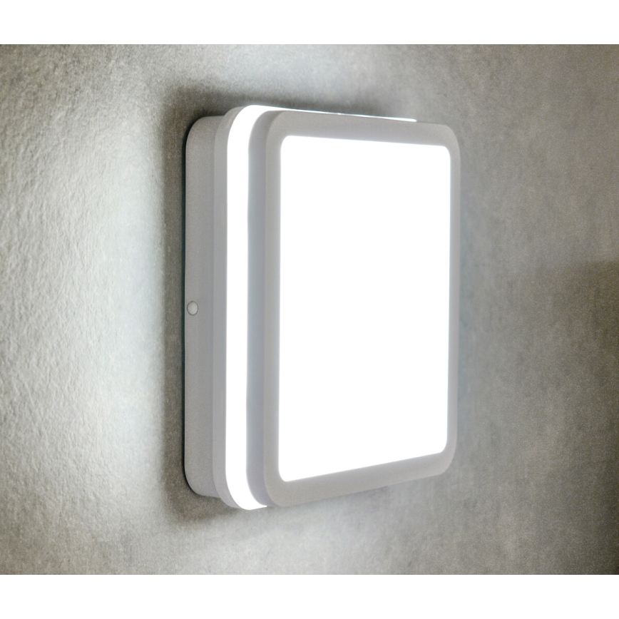 LED Екстериорна лампа BENO LED/24W/230V 4000K бяла IP54