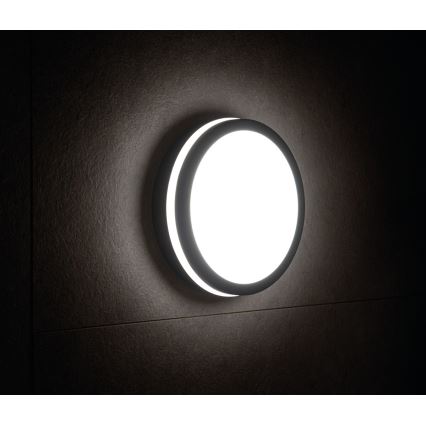Екстериорна LED лампа със сензор BENO LED/24W/230V 4000K IP54 антрацит