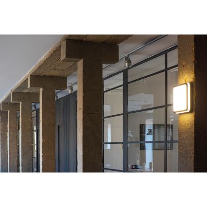 LED Екстериорна лампа със сензор BENO LED/24W/230V 4000K антрацит IP54