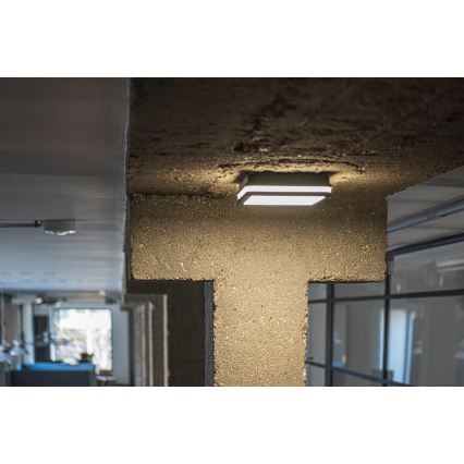 LED Екстериорна лампа със сензор BENO LED/24W/230V 4000K антрацит IP54