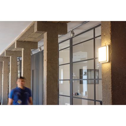 LED Екстериорна лампа със сензор BENO LED/24W/230V 4000K антрацит IP54