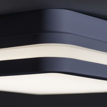 LED Екстериорна лампа със сензор BENO LED/24W/230V 4000K антрацит IP54