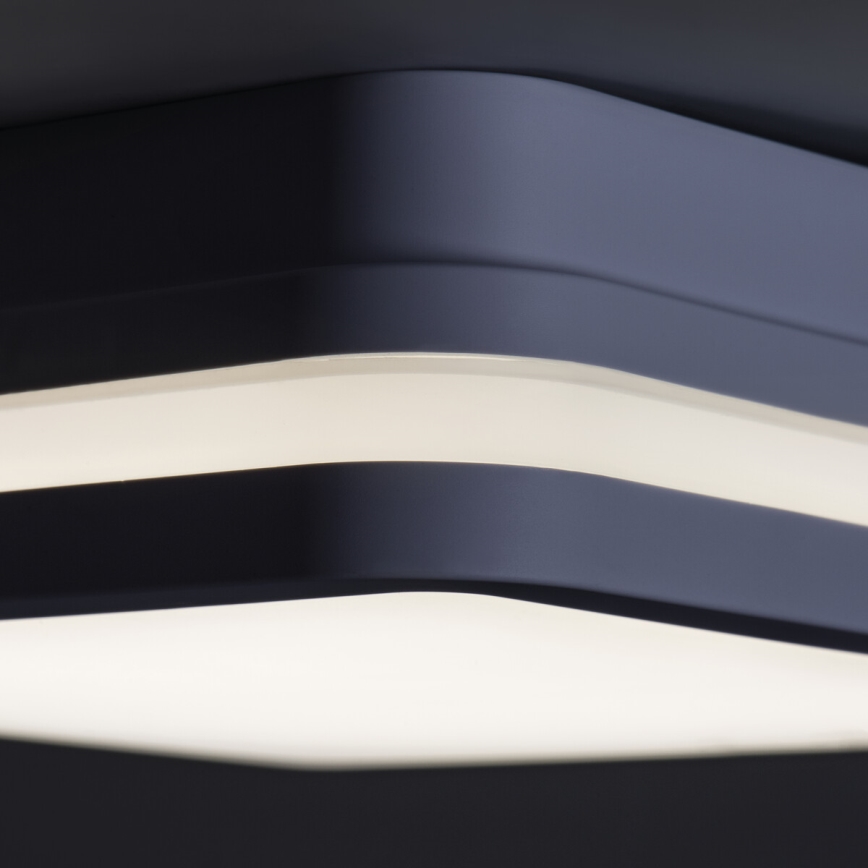 LED Екстериорна лампа със сензор BENO LED/24W/230V 4000K антрацит IP54