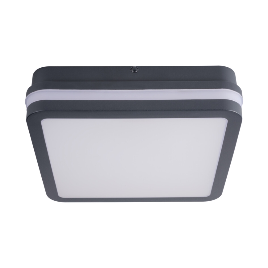 LED Екстериорна лампа със сензор BENO LED/24W/230V 4000K антрацит IP54