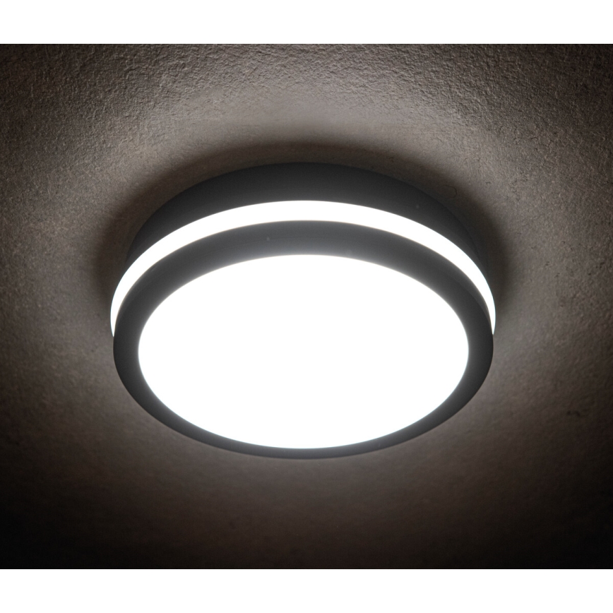 LED Екстериорна лампа BENO LED/18W/230V 4000K антрацит IP54