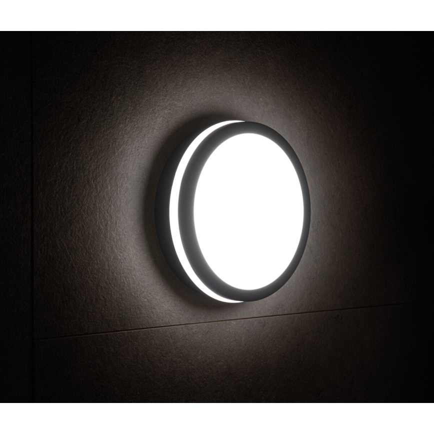 LED Екстериорна лампа BENO LED/18W/230V 4000K антрацит IP54