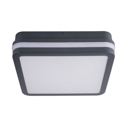 LED Екстериорен аплик BENO LED/18W/230V 4000K антрацит IP54