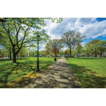 LED Улична лампа PARCOLI LED/30/40/50W/230V 3000/4000/6500K IP66 сив