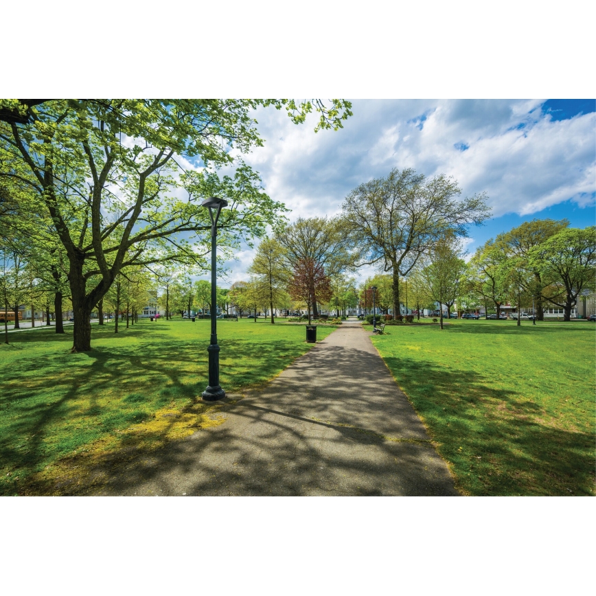 LED Улична лампа PARCOLI LED/30/40/50W/230V 3000/4000/6500K IP66 сив