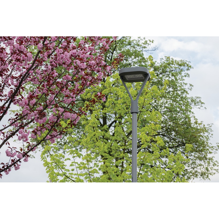 LED Улична лампа PARCOLI LED/30/40/50W/230V 3000/4000/6500K IP66 сив