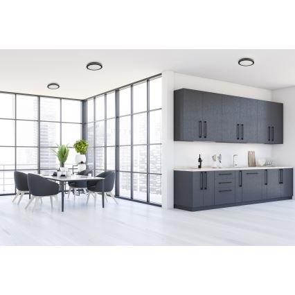Екстериорна LED лампа за таван BENO E LED/40W/230V 3000/4000/6500K Ø 40 см IP65 черен