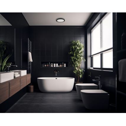 Екстериорна LED лампа за таван BENO ECO LED/40W/230V 3000/4000/6500K Ø 40 см IP65 черен