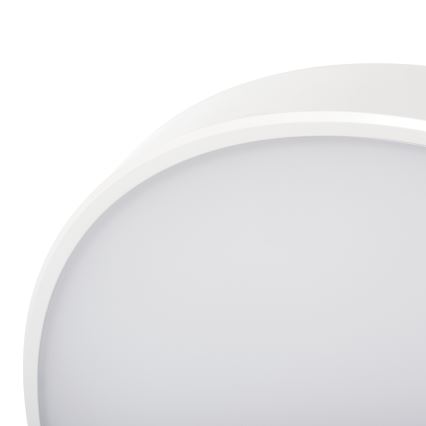 LED Димируем плафон PLAFON LED/20W/230V 3000-6500K Wi-Fi бял