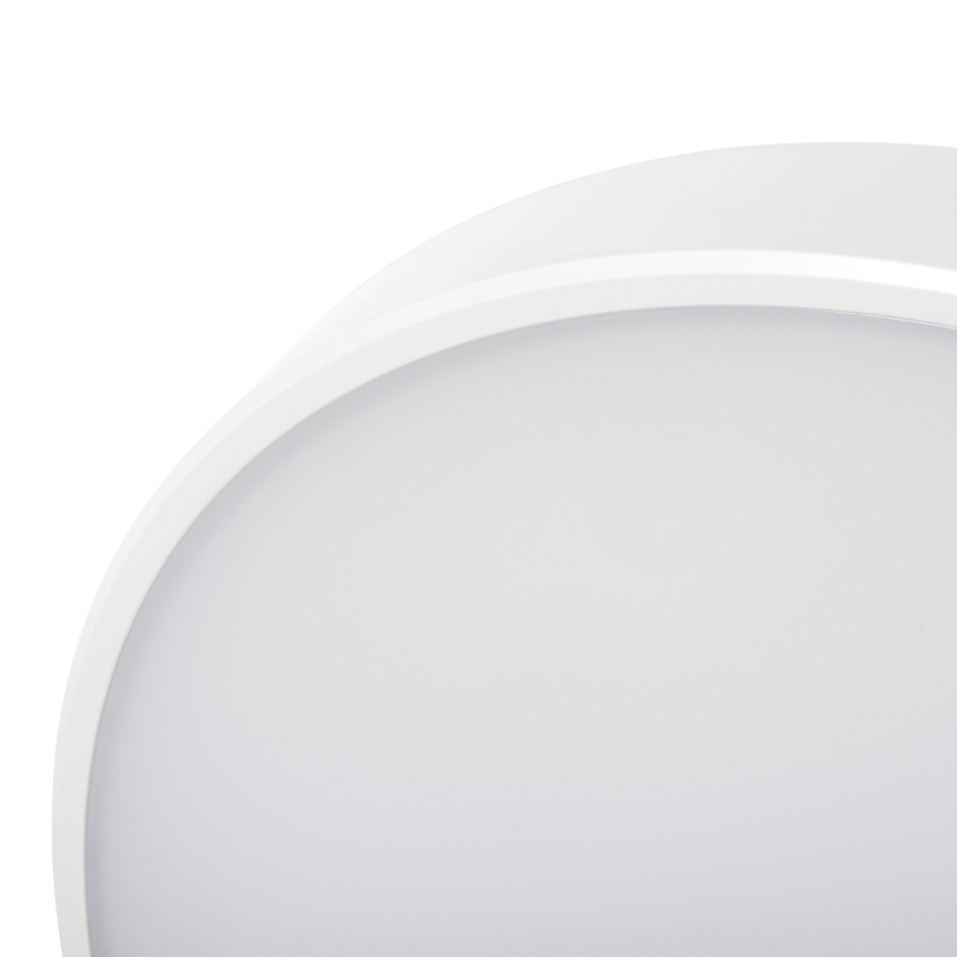 LED Димируем плафон PLAFON LED/20W/230V 3000-6500K Wi-Fi бял