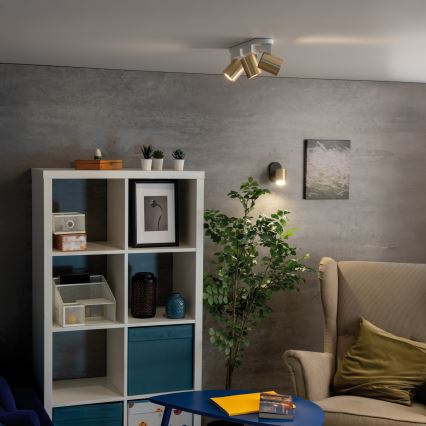 Спот аплик LAURIN 1xGU10/10W/230V месинг/черен