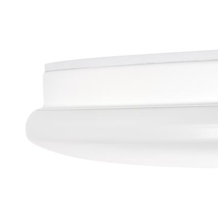LED таванно осветително тяло за баня ENELO LED/10W/230V Ø 24 см IP44