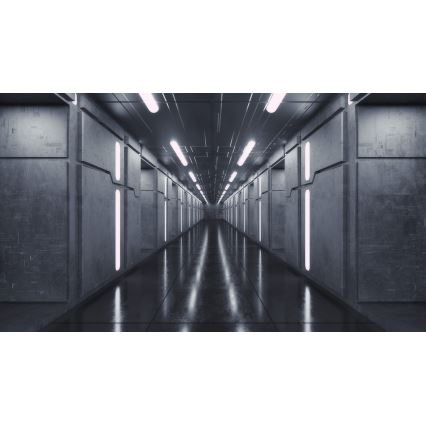 LED Плафониера LINCEA LED/15/20/24W/230V 3000/4000/6500K IK08 IP40