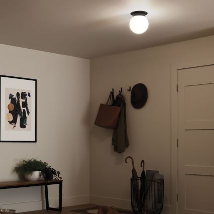 Kichler - Плафон ALBERS 1xE27/40W/230V Ø 20,3 см, черен