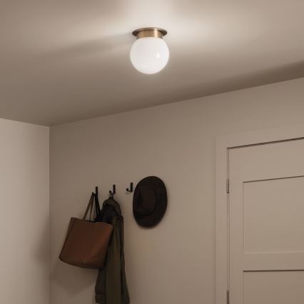 Kichler KL-ALBERS-F-G-CPZ-Таванно осветително тяло ALBERS 1xE27/40W/230V Ø20,3 cm златисто