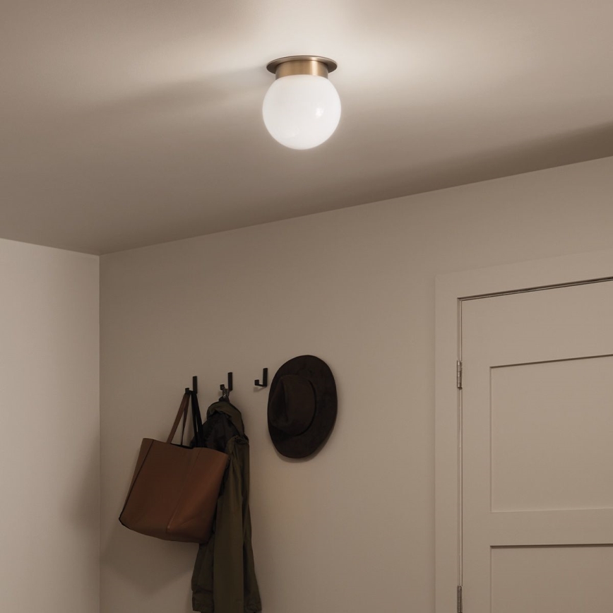 Kichler KL-ALBERS-F-G-CPZ-Таванно осветително тяло ALBERS 1xE27/40W/230V Ø20,3 cm златисто