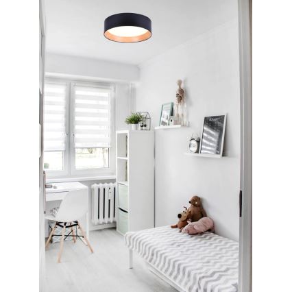 LED Плафон ARENA LED/43W/230V
