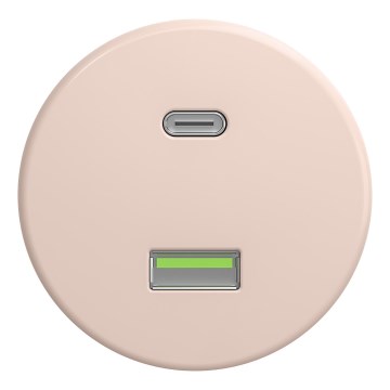 Kliklap - Ретро безрамков USB контакт A+C, старорозов
