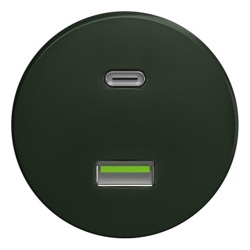 Kliklap - Ретро USB контакт A+C без рамка зелен