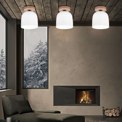 Kolarz A1352.11.W - Полилей за повърхностен монтаж NONNA 1xE27/60W/230V дъб/бял