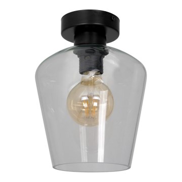 Лампа SANTIAGO 1xE27/60W/230V прозрачна