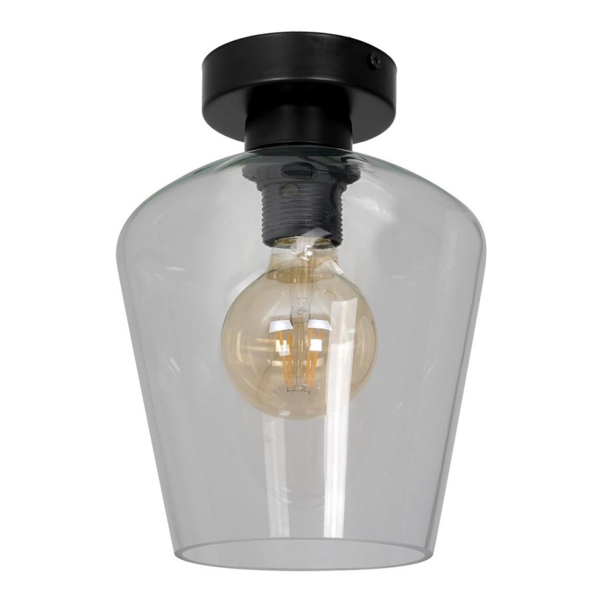 Лампа SANTIAGO 1xE27/60W/230V прозрачна