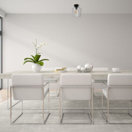 Лампа SANTIAGO 1xE27/60W/230V прозрачна