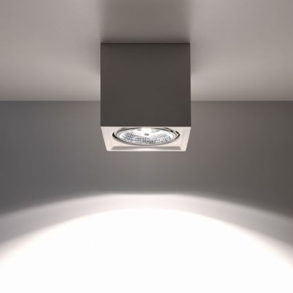 Лампа за таван SEIDA 1xGU10/40W/230V