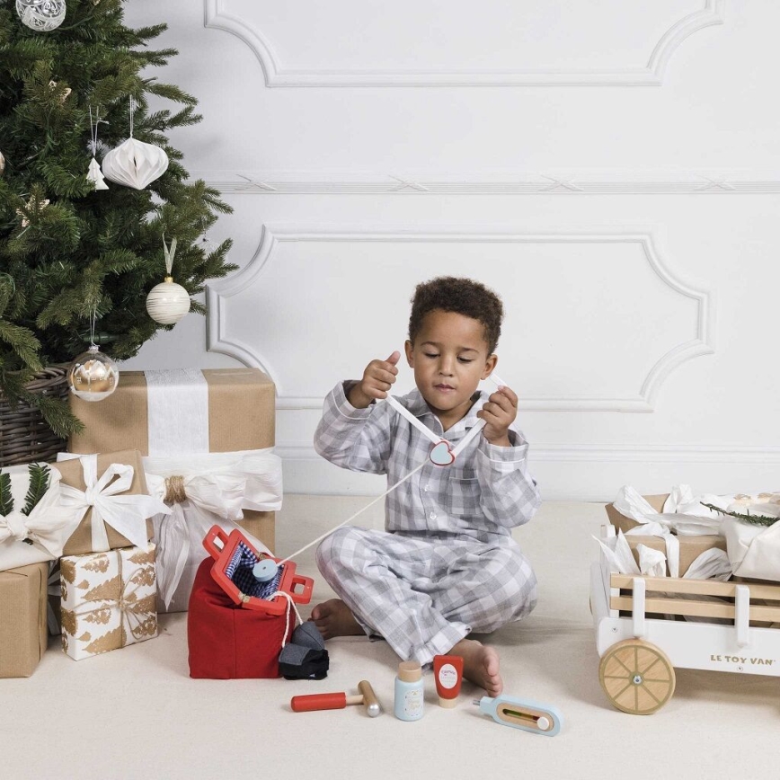 Le Toy Van - Лекарска чанта с аксесоари