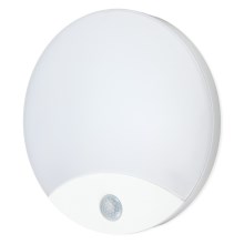 LED Аплик за баня със сензор ORBIS LED/10W/230V IP44
