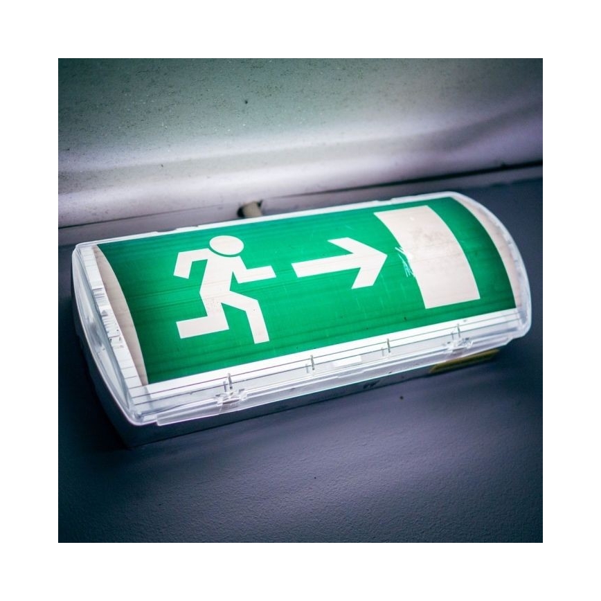 LED Аварийна лампа EMERGENCY EXIT LED/3W/230V IP65 6000K 1200mAh
