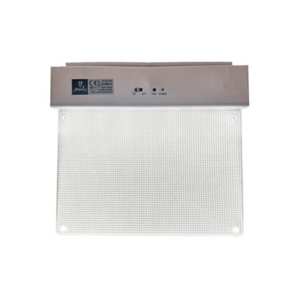 LED Аварийна лампа LED/2W/230V 6000K 300 mAh