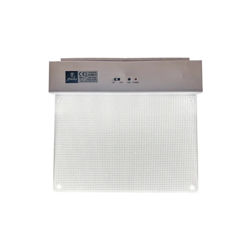 LED Аварийна лампа LED/2W/230V 6000K 300 mAh