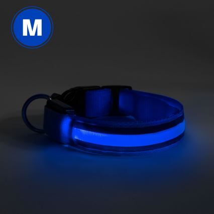 LED Акумулаторен кучешки нашийник 40-48 см 1xCR2032/5V/40 mAh син