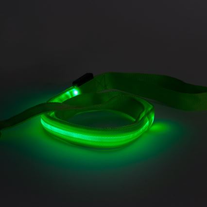 LED Акумулаторна каишка 120 см 2xCR2032/5V/40 mAh зелена