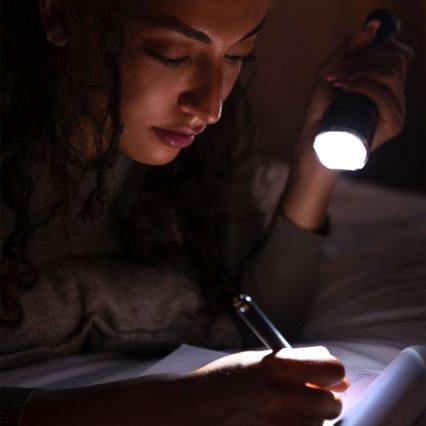 LED Акумулаторно фенерче USB LED/10W/5V IP54 2000 mAh 1000 лъскав