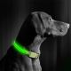 LED Акумулаторен кучешки нашийник 35-43 см 1xCR2032/5V/40 mAh зелен