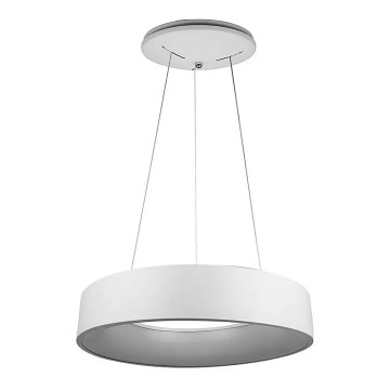 LED Демируем полилей на въже 1xLED/20W/230V