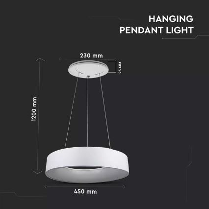 LED Демируем полилей на въже 1xLED/20W/230V