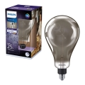 LED Демируема крушка SMOKY VINTAGE Philips A160 E27/6,5W/230V 4000K