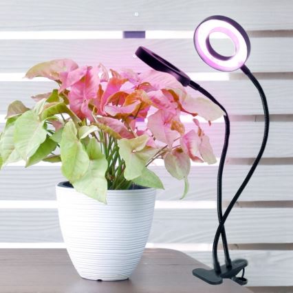 LED Димируем гъвкав настолна лампа с щипка за отглеждане на растения VITARO 2xLED/4W/230V черен