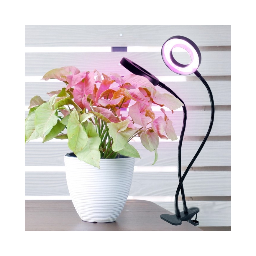 LED Димируем гъвкав настолна лампа с щипка за отглеждане на растения VITARO 2xLED/4W/230V черен